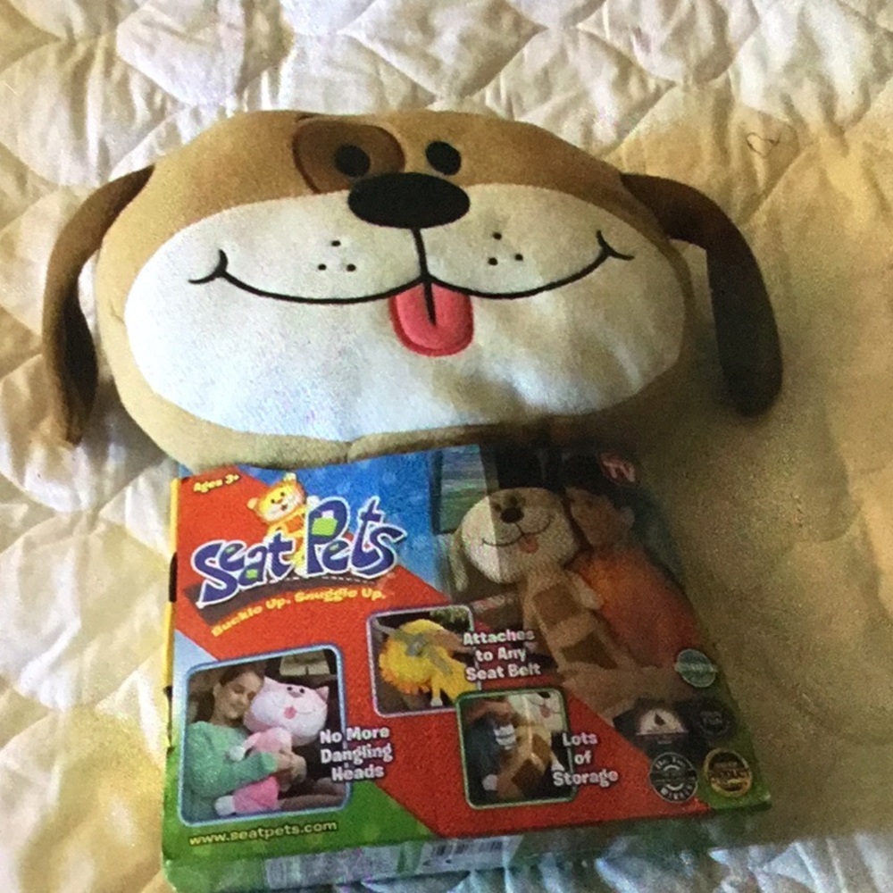 Kids seat pets